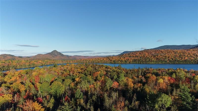 100-Mile Wilderness Forestry Project