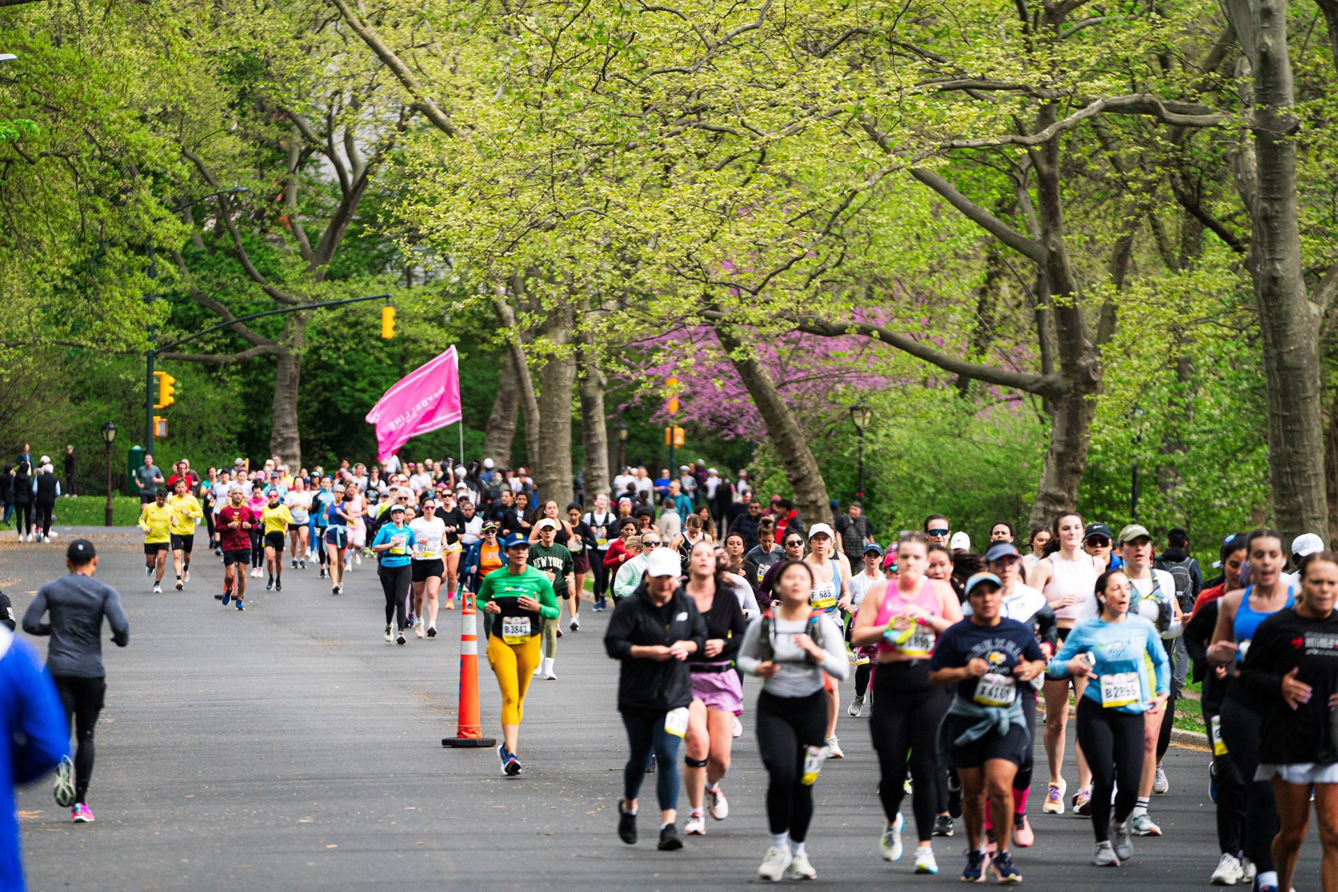 Runners at the Maybelline Women's Half in Central Park